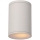 Lucide 27870/01/31 - Badkamer plafondlamp TUBIX 1xE27/24W/230V IP54