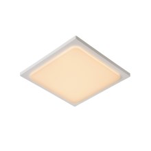 Lucide 28858/25/31 - Luminaire LED salle de bain ORAS LED/20W/230V blanc IP54