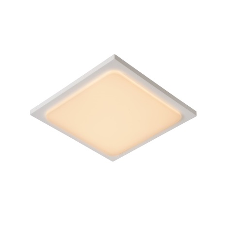 Lucide 28858/25/31 - Luminaire LED salle de bain ORAS LED/20W/230V blanc IP54