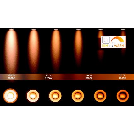 Lucide 31931/36/31 – Dimbare LED Spots TALA 3×GU10/12W/230V Wit