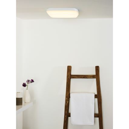 Lucide 79193/24/31 - Luminaire de salle de bain TISIS LED/24W/230V IP54