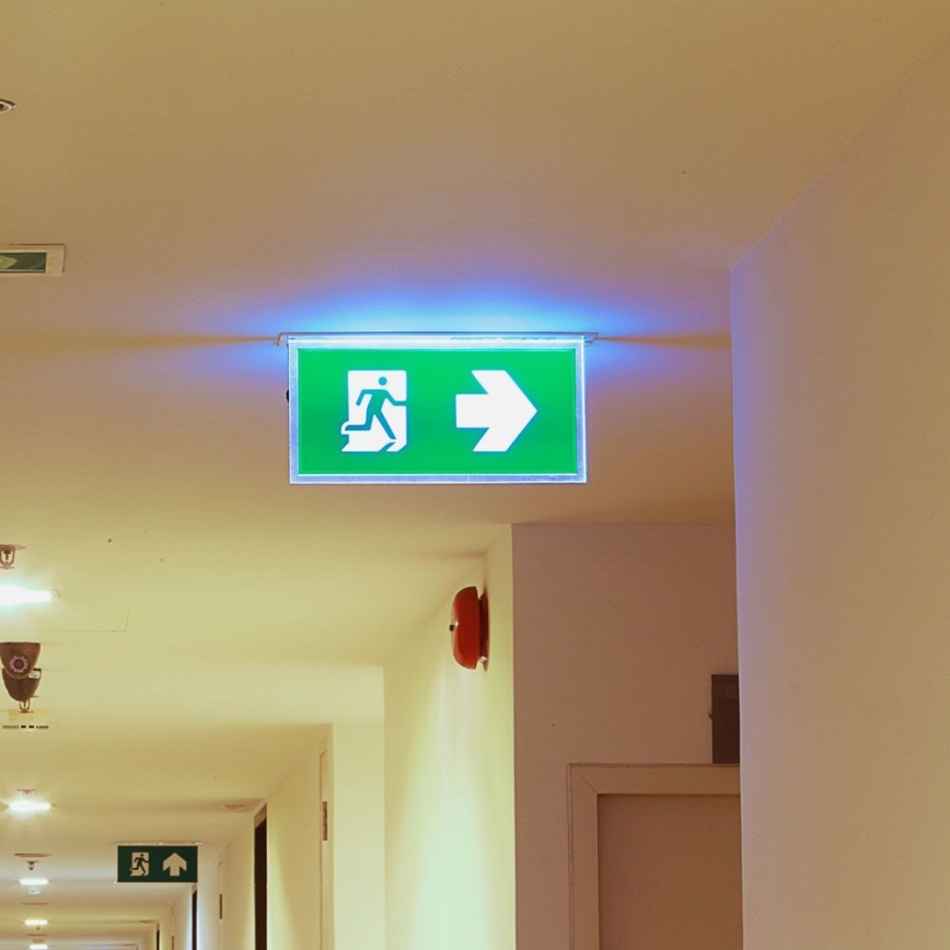 Lumière d'urgence EMERGENCY EXIT SAMSUNG CHIP LED/2W/230V 6000K
