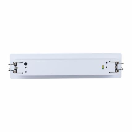 Lumière d'urgence EMERGENCY EXIT SAMSUNG CHIP LED/2W/230V 6000K