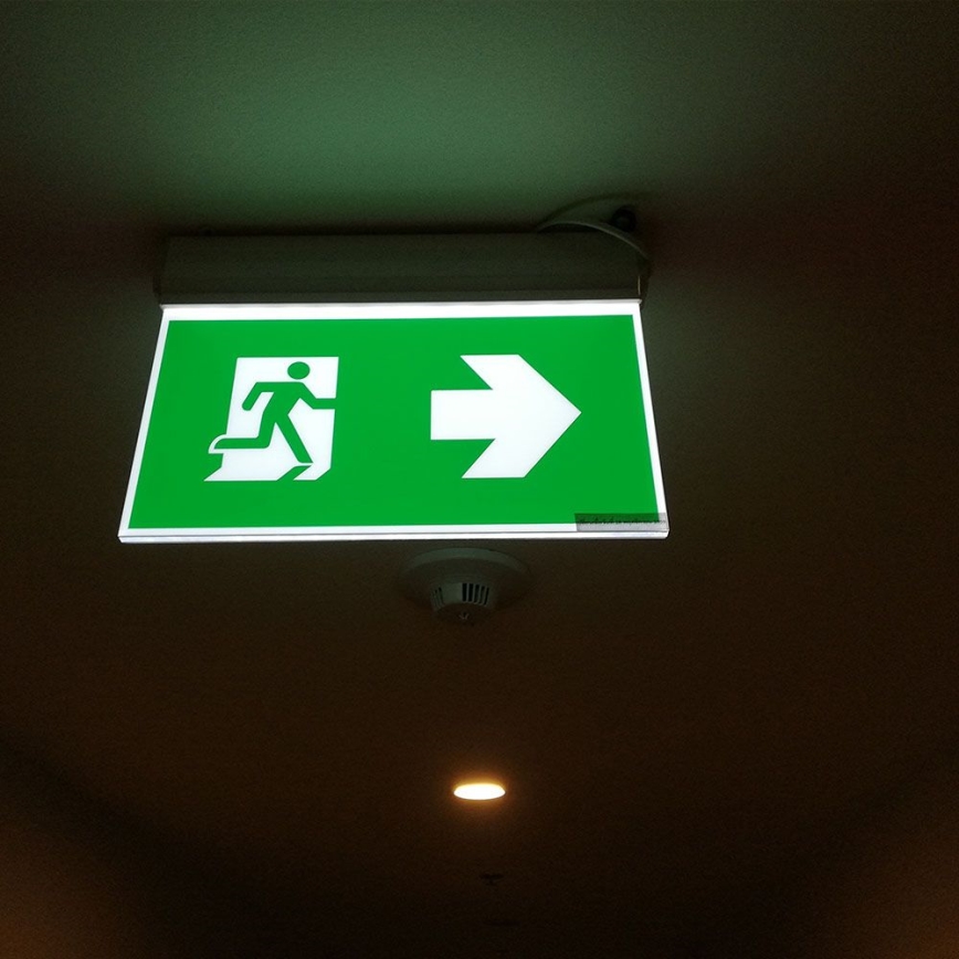 Lumière d'urgence EMERGENCY EXIT SAMSUNG CHIP LED/2W/230V 6000K