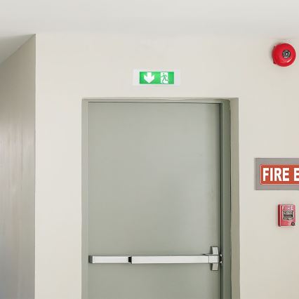 Lumière d'urgence EMERGENCY EXIT SAMSUNG CHIP LED/3,8W/230V 6000K