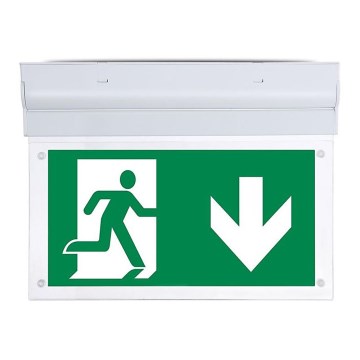 Lumière d'urgence EMERGENCY EXIT SAMSUNG CHIP LED/2W/230V 6000K