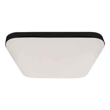 Luminaire de salle de bain avec détecteur NEMO LED/16W/230V IP44 noir