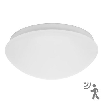 Luminaire extérieur avec détecteur 1xE27/25W/230V IP44