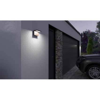 Applique murale extérieure avec détecteur NATURA LED/12W/230V 4000K IP54 marron/anthracite