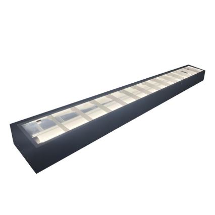 Luminaire fluorescente T8 2xG13/18W/230V 120 cm noir