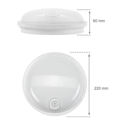 Luminaire industriel avec détecteur infrarouge passif LED/20W/230V IP54