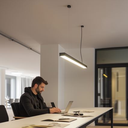 Luminaire LED de plafond CYNIDECO, montage en applique ou suspendu, LED/12W/230V, 4000K, noir