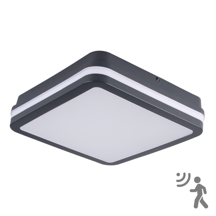 Luminaire LED extérieur avec détecteur BENO LED/18W/230V 4000K IP54 anthracite