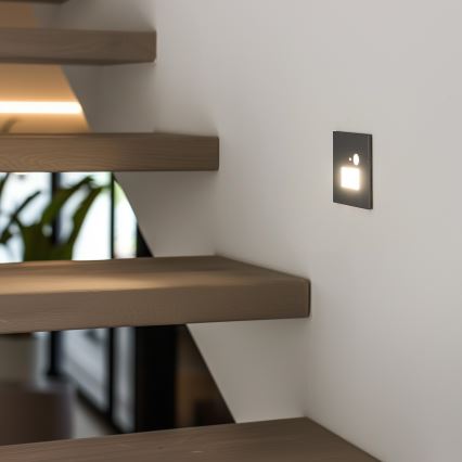 Luminaire d'escalier LED avec capteur de mouvement et capteur crépusculaire LED/1,5W/230V 3000/4000/6000K argenté