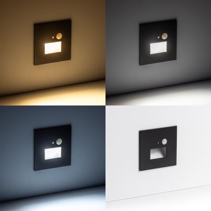 Luminaire d'escalier LED avec détecteur de mouvement et détecteur crépusculaire LED/1,5W/230V 3000/4000/6000K noir
