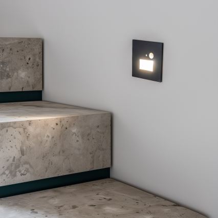 Luminaire LED pour escalier avec capteur de mouvement et crépusculaire, LED 1,5W/230V, 3000/4000/6500K, anthracite