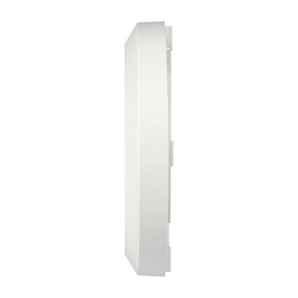 Luminaire LED pour escalier extérieur LED/2W/230V IP65 4000K blanc