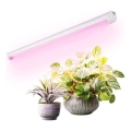 Luminaire LED sous-meuble pour culture de plantes GROWLY LED/9W/230V blanc