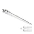 Luminaire LED technique pour tubes T8, 2x G13, 18 W, 230 V, 5000 K, IP65, 127 cm