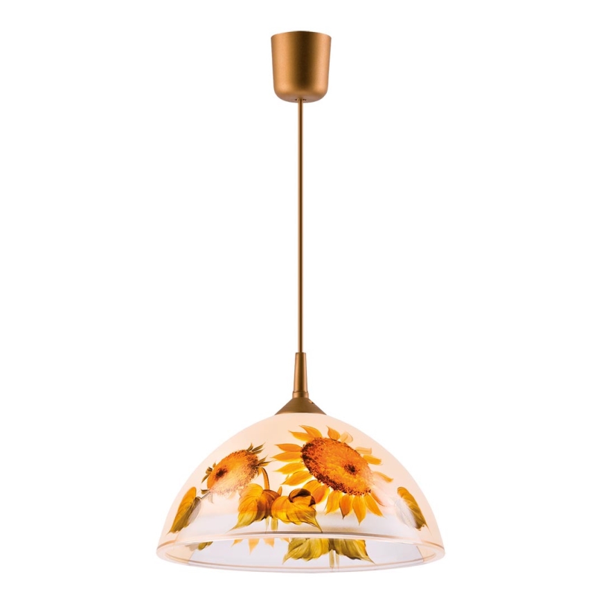 Lustre avec fil 1xE27/60W/230V