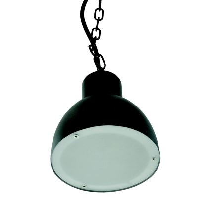 Lustre extérieur ARNE 1xE27/10W/230V IP44