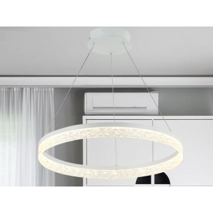 Suspension LED dimmable sur câble ALIANZ LED/60W/230V 3000–6000K Ø 80 cm + télécommande