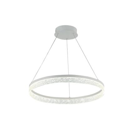 Suspension LED dimmable sur câble ALIANZ LED/60W/230V 3000–6000K Ø 80 cm + télécommande