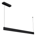 Lustre LED LINEA sur câble, 36 W, 230 V, 3000/4000/5700 K, IRC 90, noir