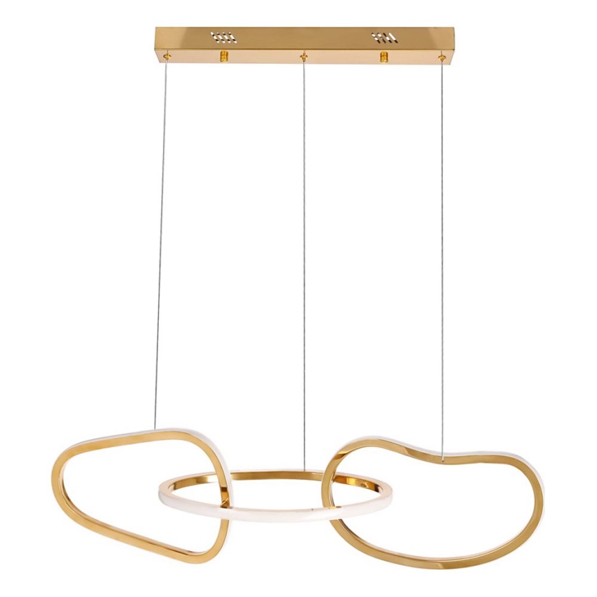 Lustre LED sur câble ANNELI LED/30W/230V 80 cm doré