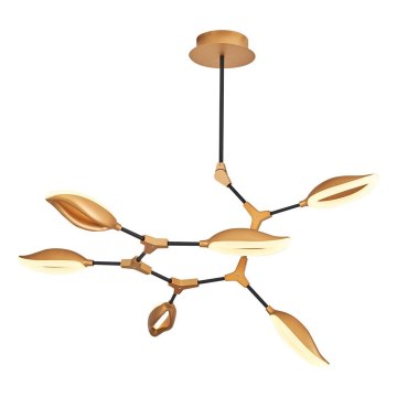 Lustre LED sur tige ASTI 6xLED/7W/230V 3000K doré