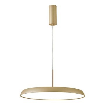 Lustre LED suspendu par câble ART LED/41W/230V, doré