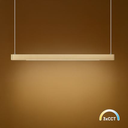 Lustre LED suspendu sur câble LINEA LED/36W/230V 3000/4000/5700K IRC 90 doré