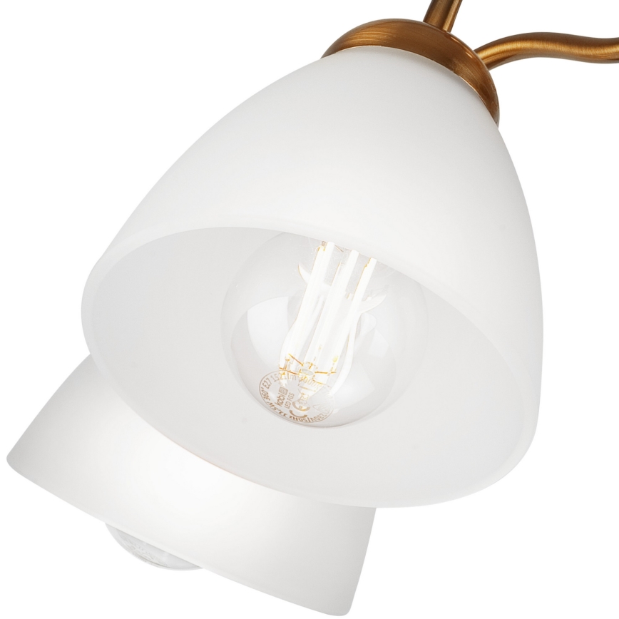 Lustre monté en surface MIRANDA 1xE27/60W/230V gold