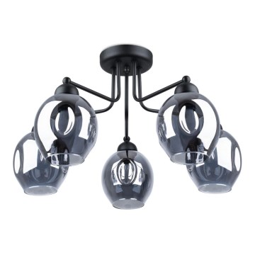 Lustre sur barre FILLAN 5xE27/60W/230V noir