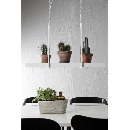 Markslöjd 106124 - LED Hanglamp aan ketting dimbaar TRAY 3xLED/3W/230V wit