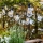 Markslöjd 107293 - LED Buiten decoratieve slinger GIRLANDA GARDEN 10xLED 5,5m IP44