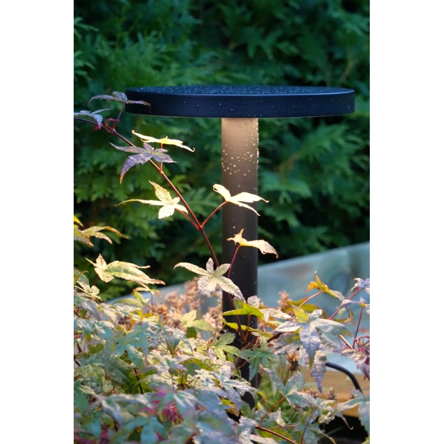 Markslöjd 108173 - LED buitenlamp GARDEN24 LED/5W/24V 75 cm IP44 zwart