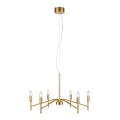 Markslöjd 108210 - Hanglamp aan een koord MONARCH 6xE14/18W/230V goud