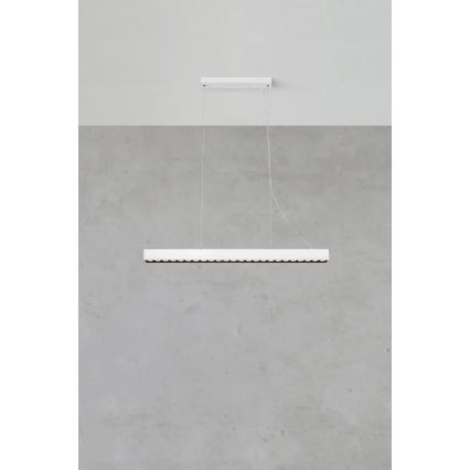 Markslöjd 108892 - Suspension dimmable sur câble PLANO LED/38W/230V blanche