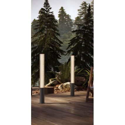 MAXLIGHT F0065 - LED Buitenlamp GARDENIA LED/25W/230V 105 cm CRI 93 IP65 antraciet