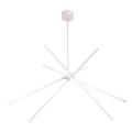 MAXLIGHT P0270 - LED Hanglamp aan een koord SPIN LED/33W/230V wit