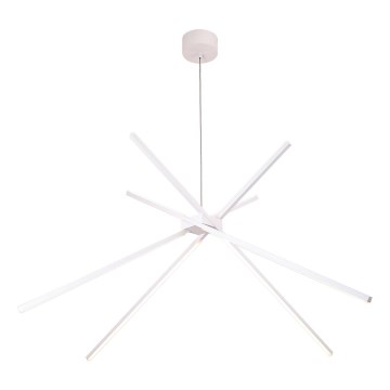 MAXLIGHT P0270 - Suspension filaire ARAIGNEE LED/33W/230V blanc