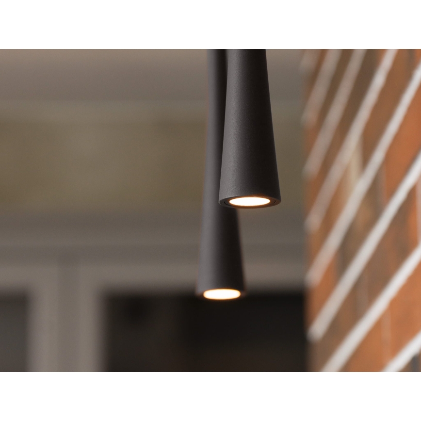 MAXLIGHT P0372 - Suspension filaire CAFE LED/7W/230V d. 3 cm noir