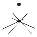 MAXLIGHT P0412 - LED Hanglamp aan een koord SPIN LED/33W/230V zwart