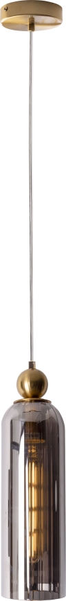 MAXLIGHT P0511 - Suspension filaire CAMPANILA 1xE27/40W/230V d. 10 cm laiton/gris