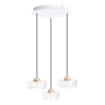 MAXLIGHT P0543 - Suspension filaire LIPARI LED/22W/230V d. 35 cm transparent