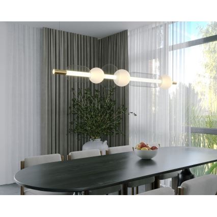 MAXLIGHT P0593 - Suspension filaire BORA LED/29W/230V blanc/noir