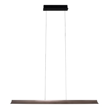 MAXLIGHT P0595 - Suspension filaire à intensité variable JO-JO LED/38W/230V 2700/4500/5500K anthracite