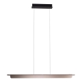 MAXLIGHT P0597 - Dimbare LED hanglamp aan een koord JO-JO LED/40W/230V 2700/4500/5500K antraciet