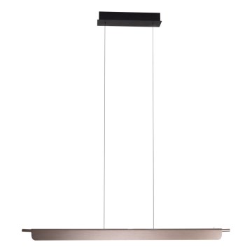 MAXLIGHT P0597 - Suspension filaire à intensité variable JO-JO LED/40W/230V 2700/4500/5500K anthracite